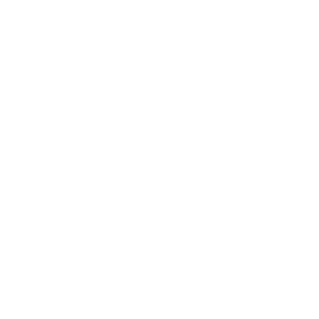 white birds 3